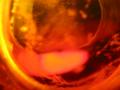 121-2127_IMG.JPG (1024x768)