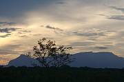 IMG_4929 