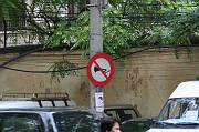 IMG_0616 