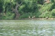 IMG_0697 