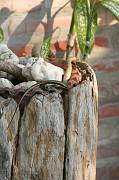 IMG_0034 