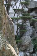 IMG_8078 