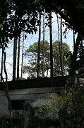 IMG_8079 