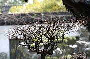 IMG_8100 