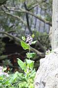 IMG_8151 