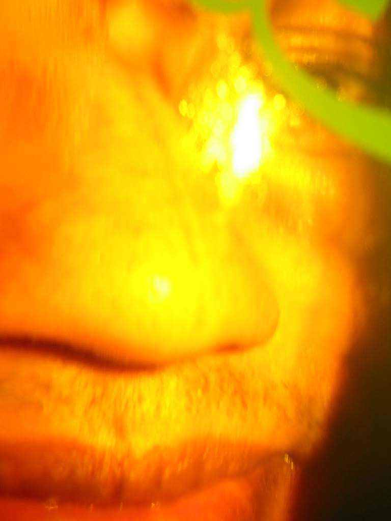 IMG_6007