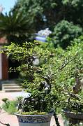 IMG_0669 